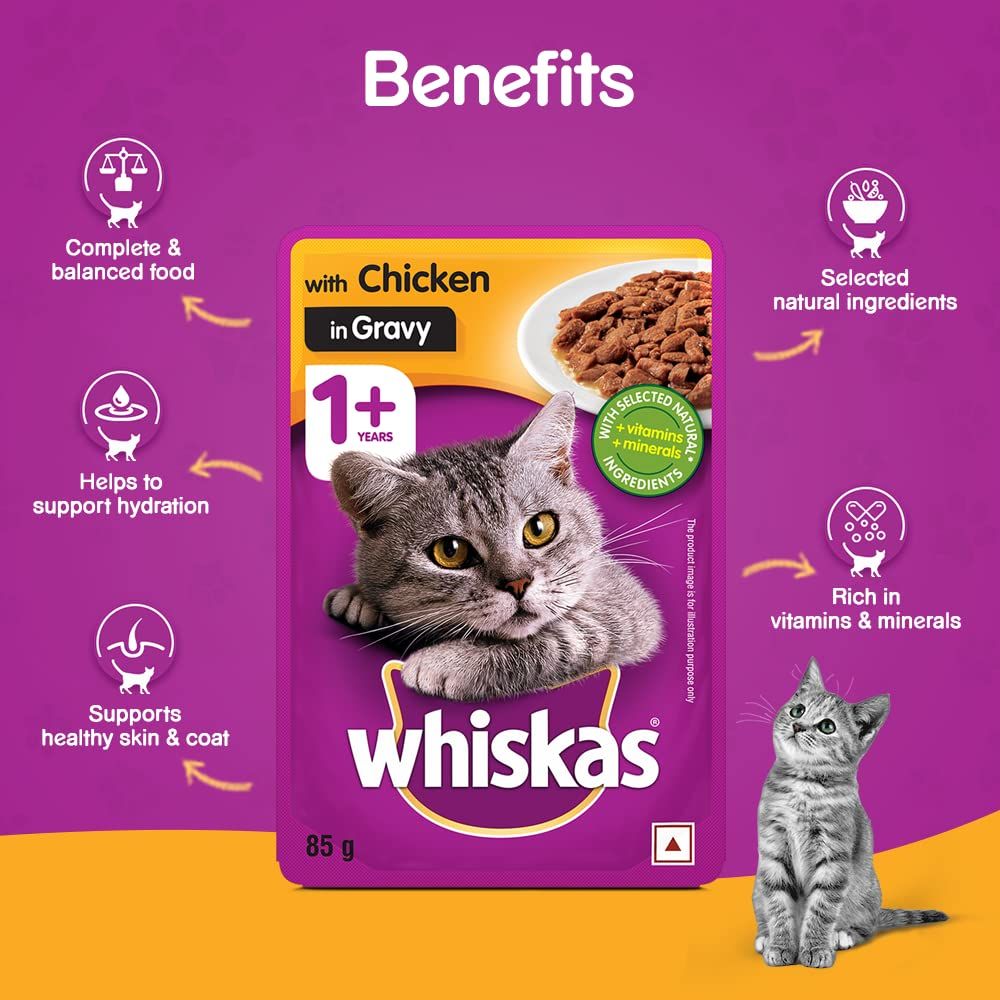 WHISKAS® Wet Cat Food for Adult Cats (1+Years), Chicken in Gravy Flavour, 12 Pouches (12 x 80g) - 2