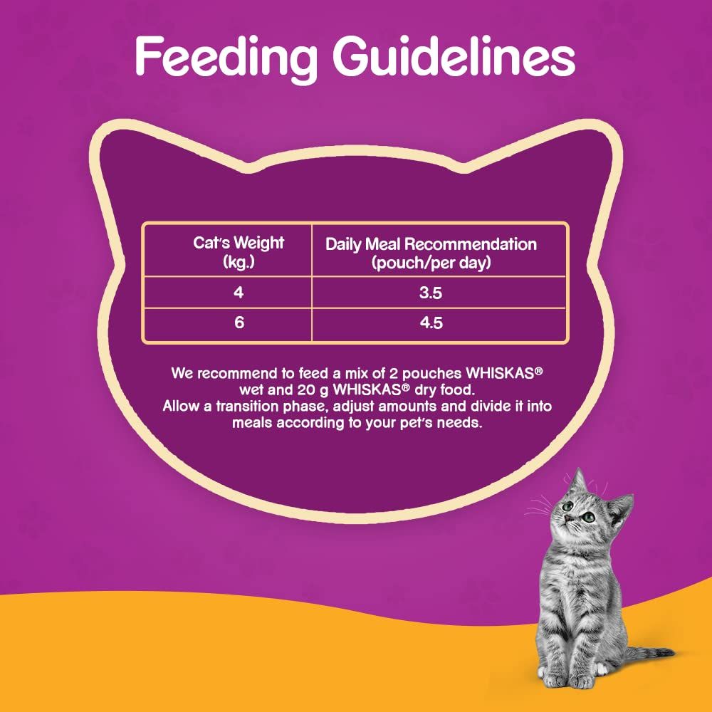 WHISKAS® Wet Cat Food for Adult Cats (1+Years), Chicken in Gravy Flavour, 12 Pouches (12 x 80g) - 4