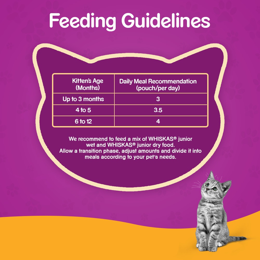 WHISKAS® Wet Food for Kittens (2-12 Months), Tuna in Jelly Flavour, 12 pouches (12 x 80g) - 4
