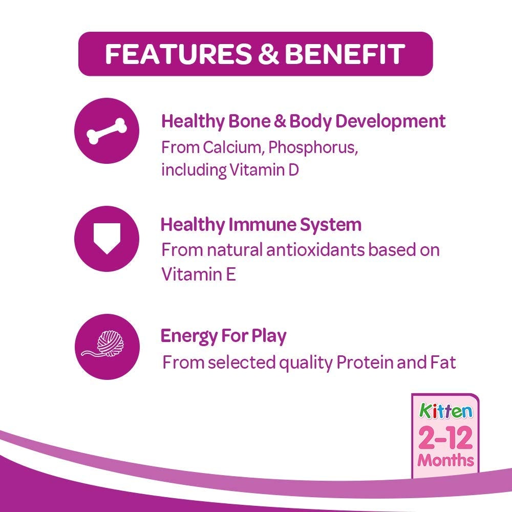 WHISKAS® Kitten Dry Food, Ocean Fish with Milk - 2