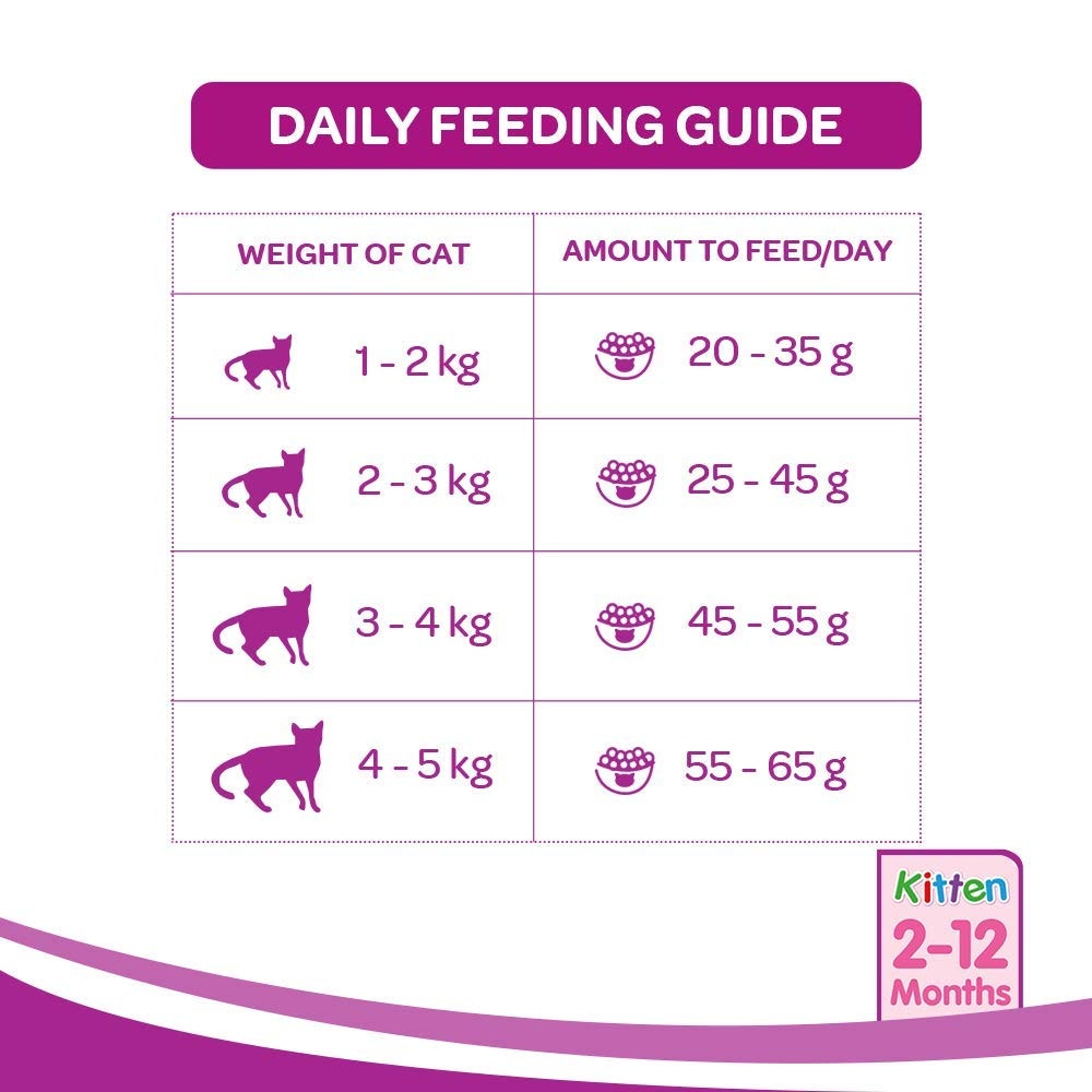 WHISKAS® Kitten Dry Food, Ocean Fish with Milk - 4