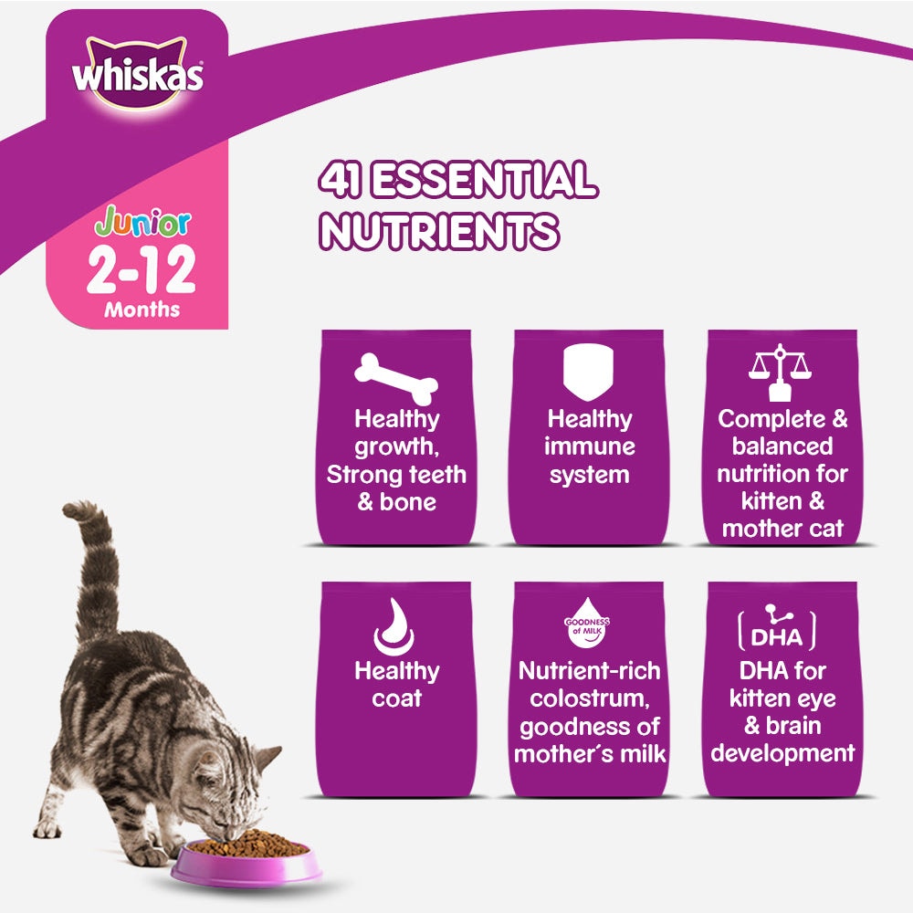 WHISKAS® Kitten Dry Food, Ocean Fish with Milk - 6