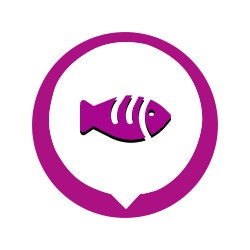 <p>Made with Real Fish, Chicken & Veggies in Gravy</p>