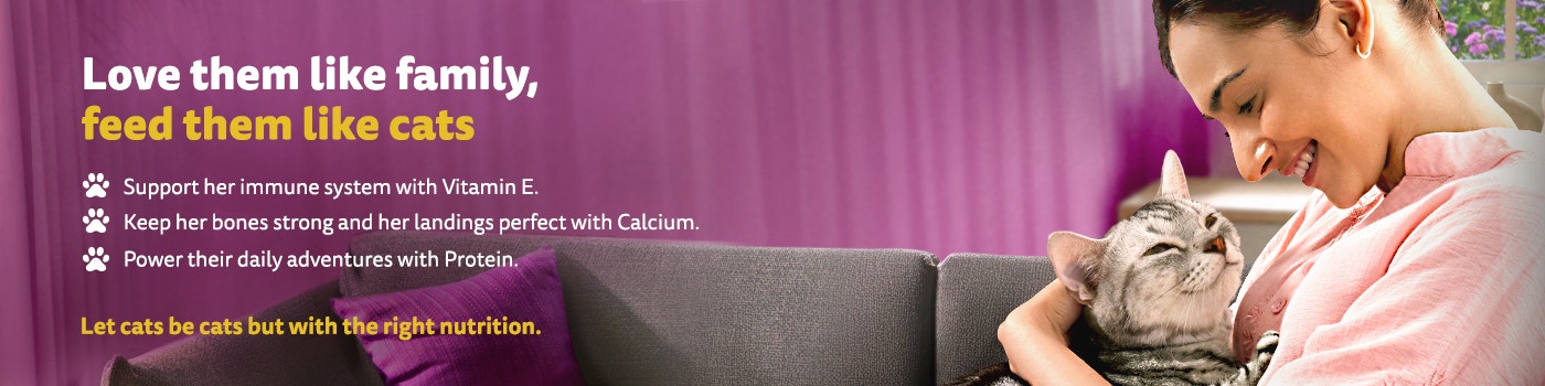 love them like a family banner