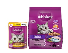 adult cat food
